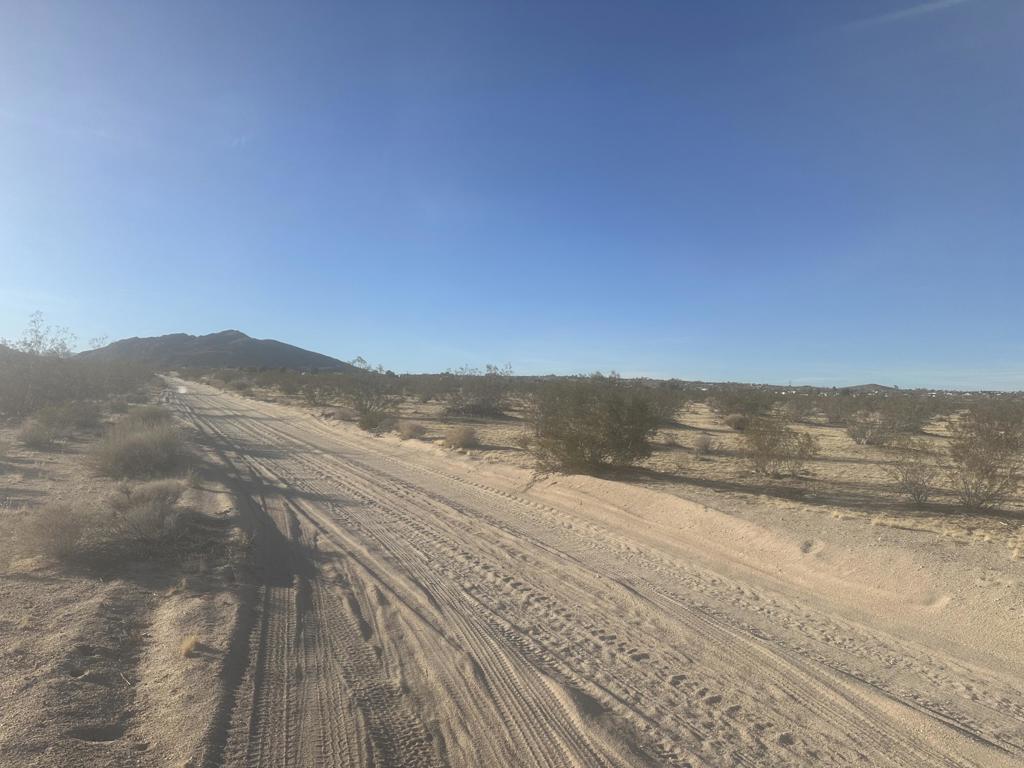 MLS #219126361DA image #8