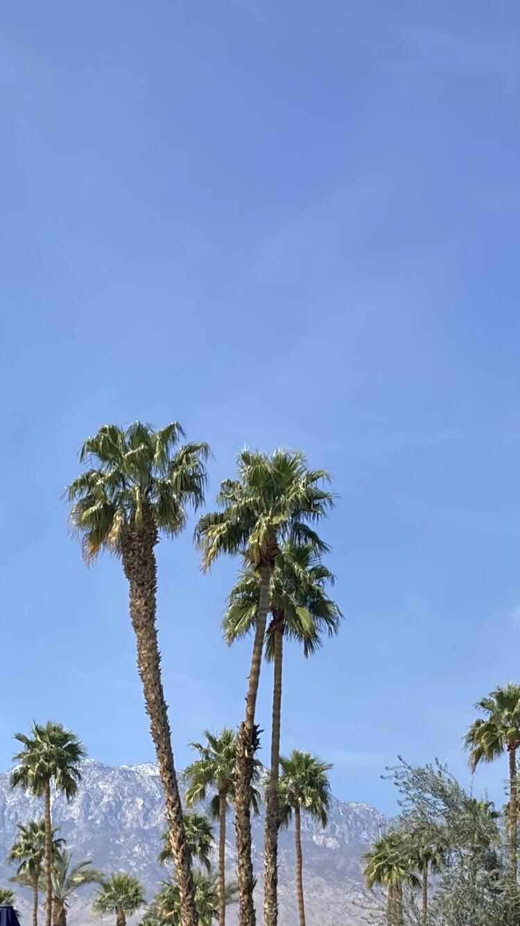 MLS #219126570DA image #1