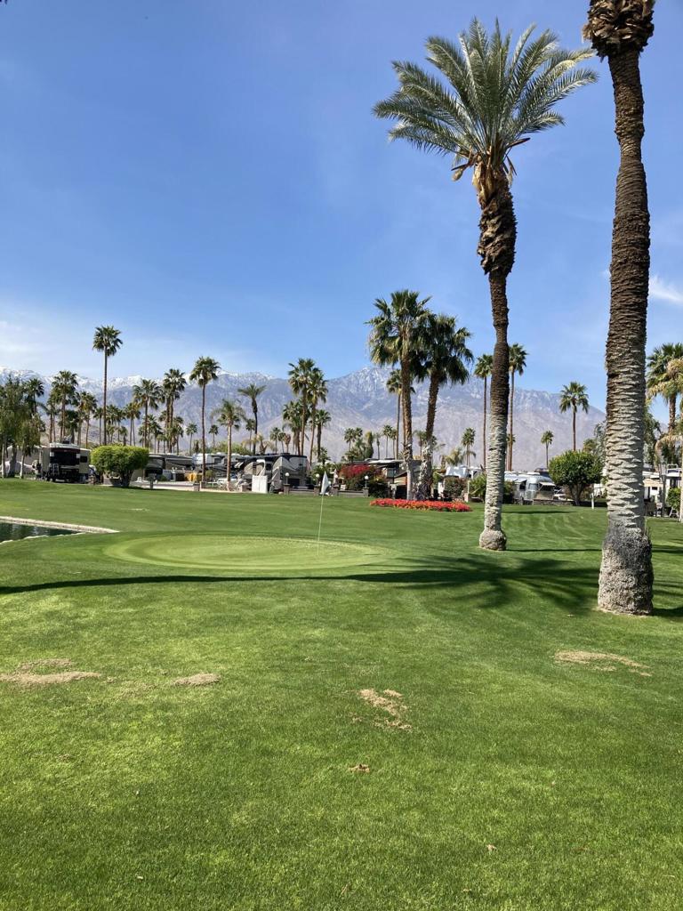 MLS #219126601DA image #14