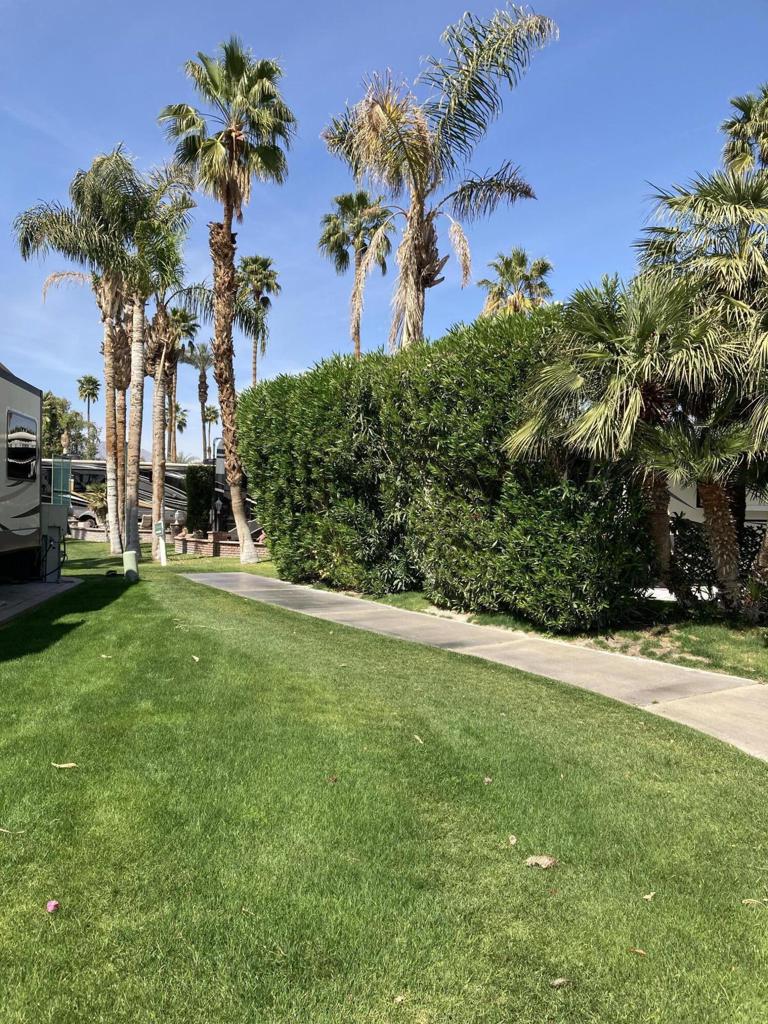 MLS #219126601DA image #15