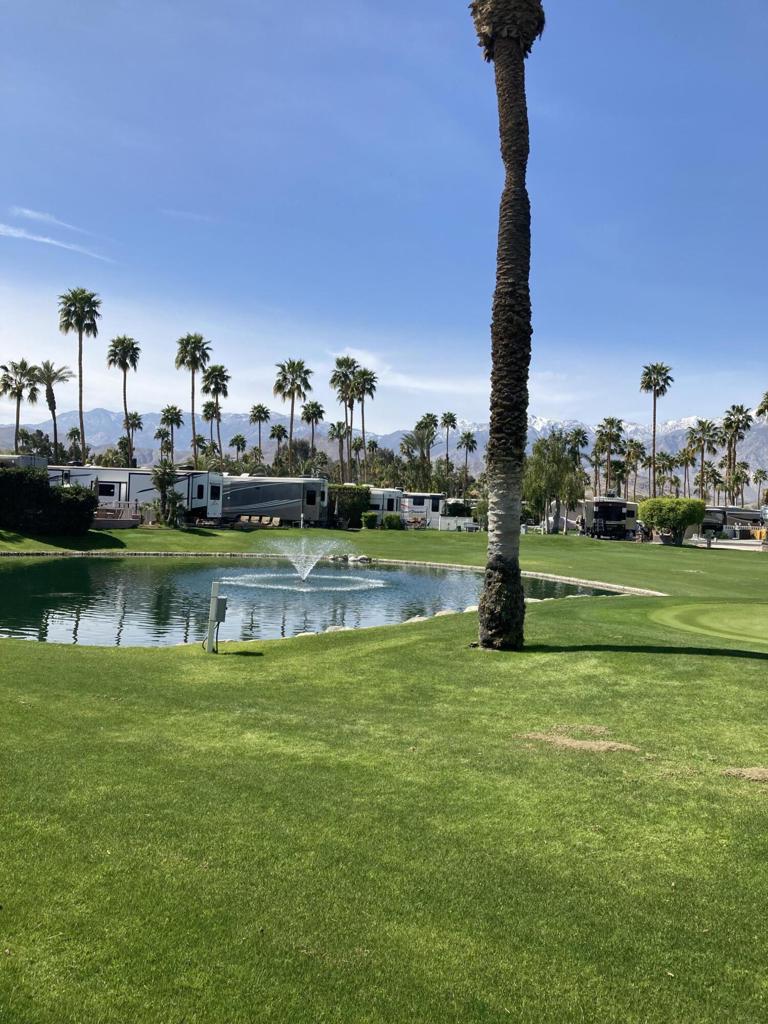 MLS #219126601DA image #4