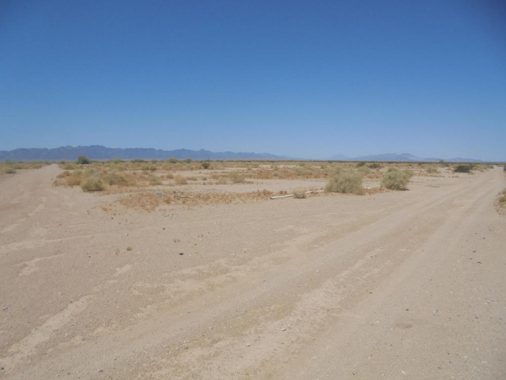 MLS #219126634DA image #6