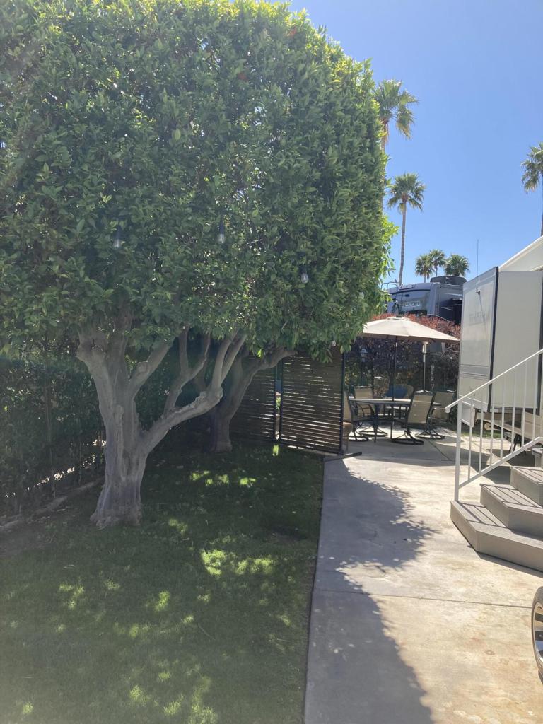 MLS #219126829DA image #11