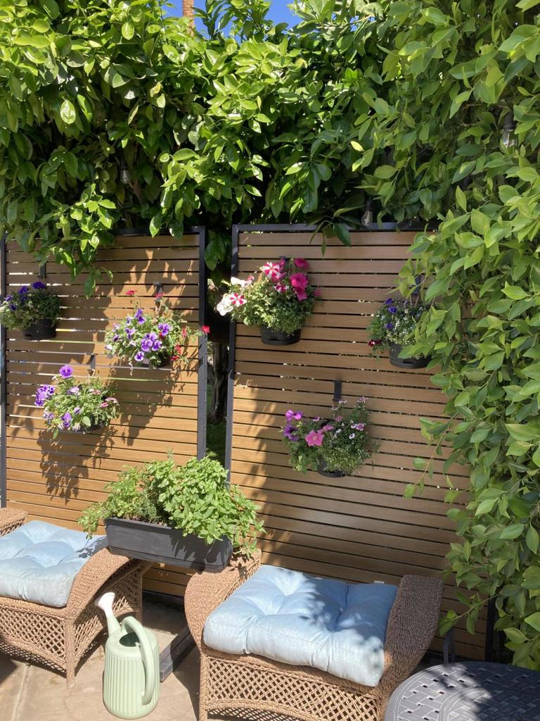 MLS #219126829DA image #4