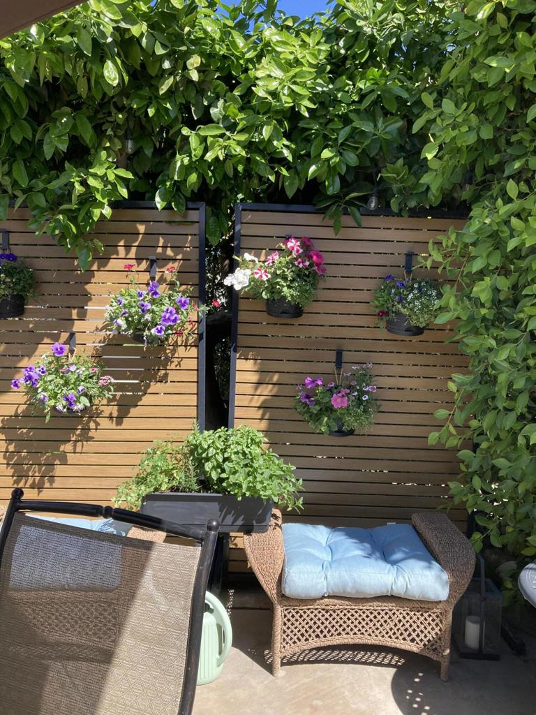 MLS #219126829DA image #5