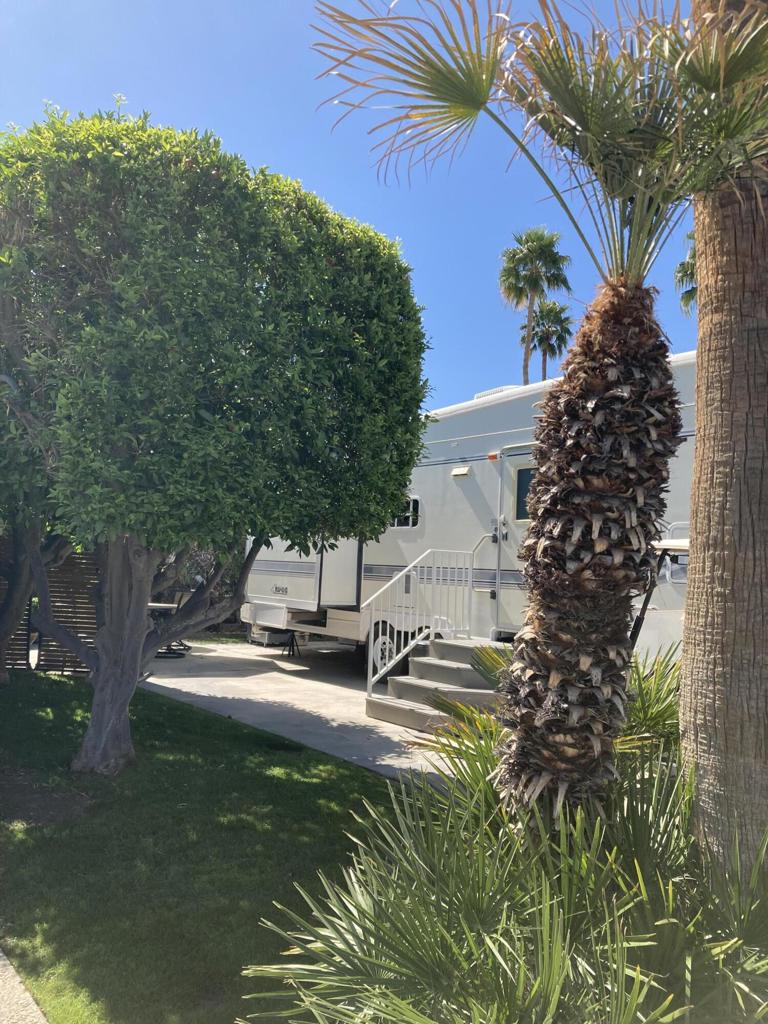 MLS #219126829DA image #9