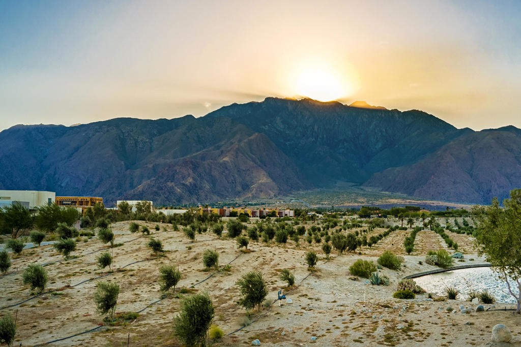 MLS #219127129DA image #44