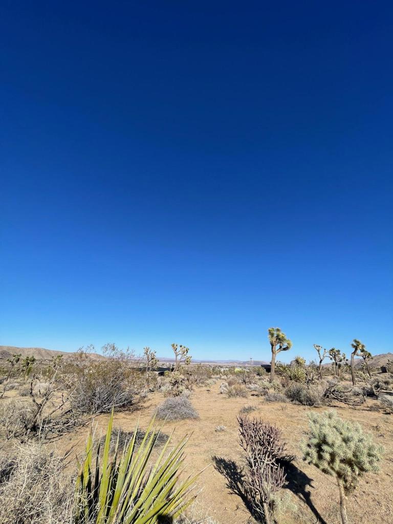 MLS #219127215DA image #2