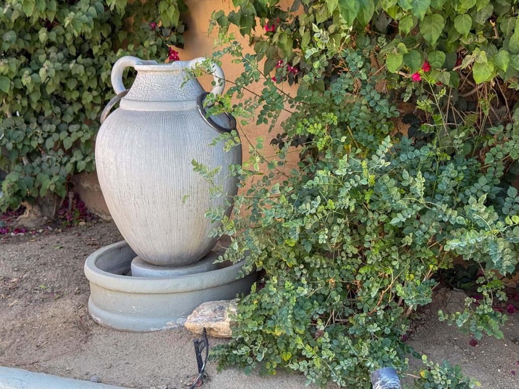 MLS #219127218DA image #11