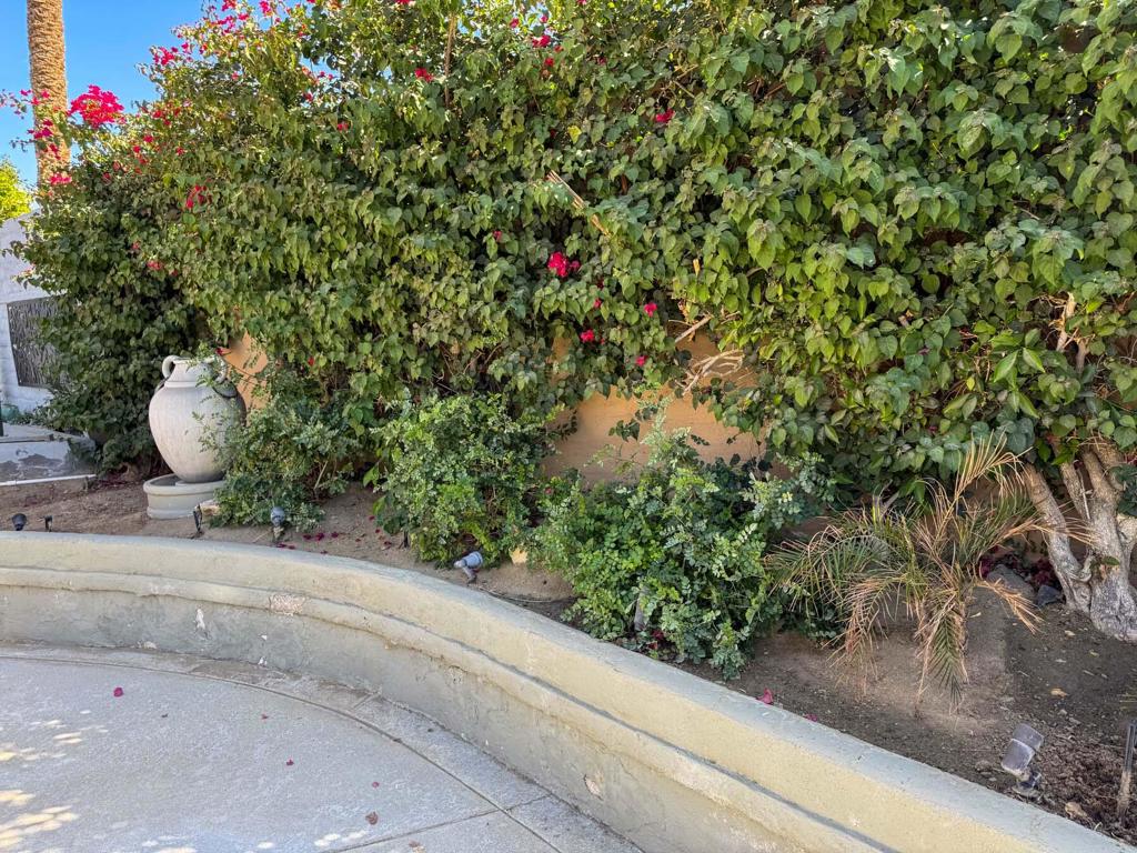 MLS #219127218DA image #7