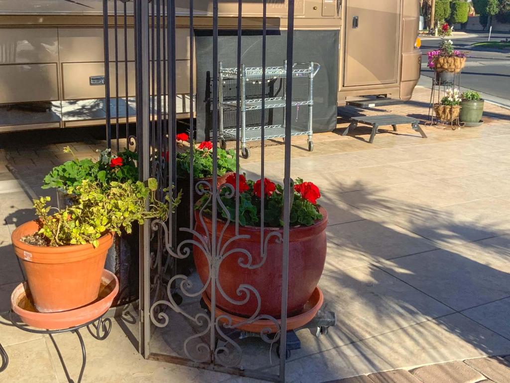 MLS #219127224DA image #1