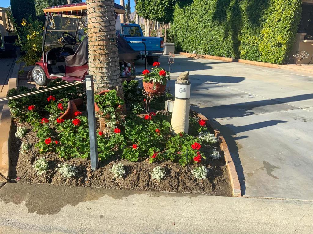 MLS #219127224DA image #4