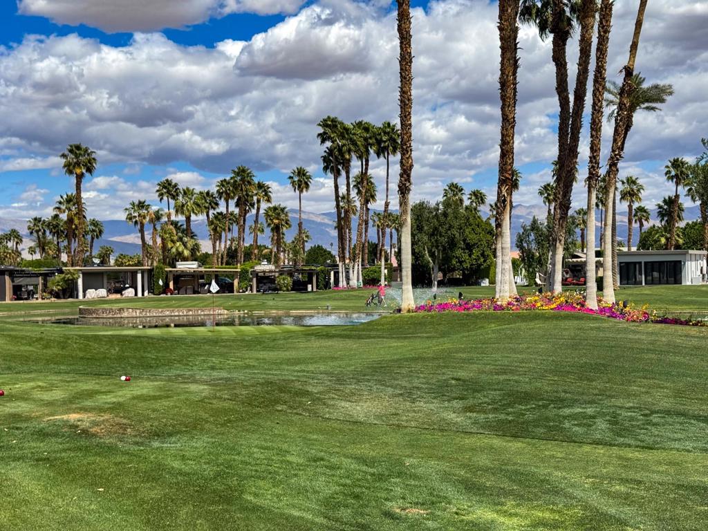 MLS #219127723DA image #11