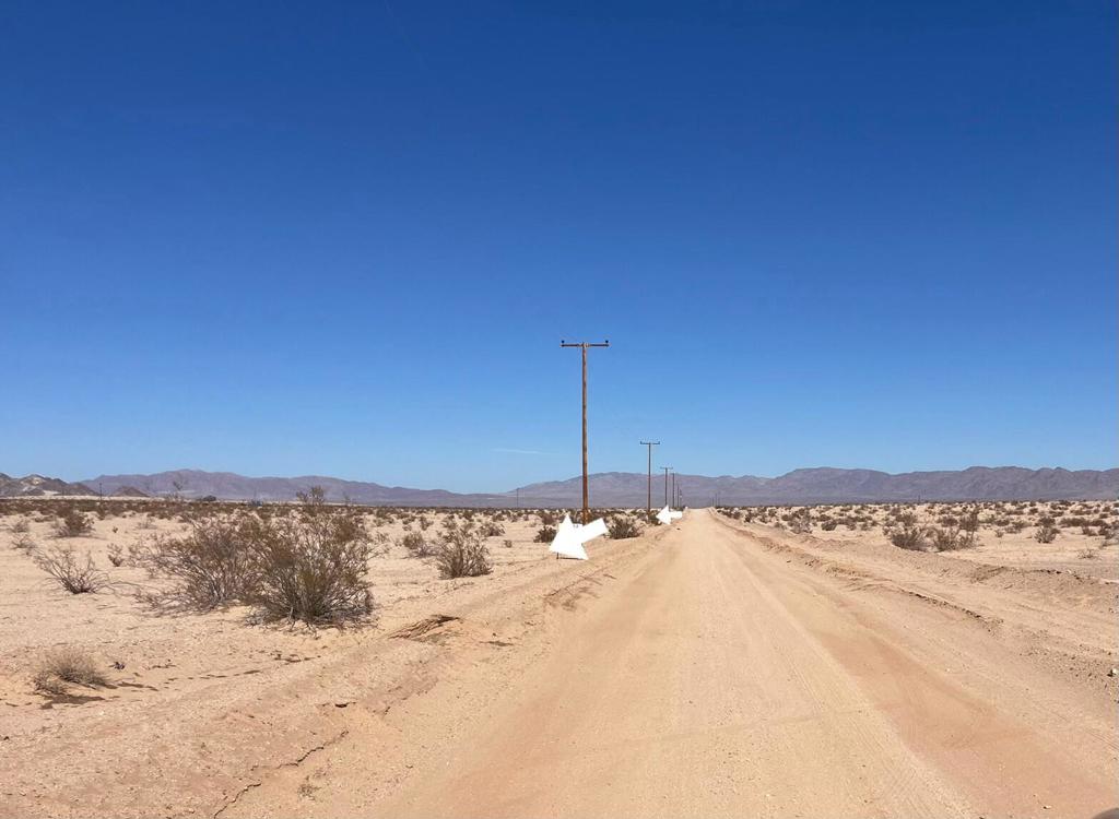 MLS #219128072PS image #7