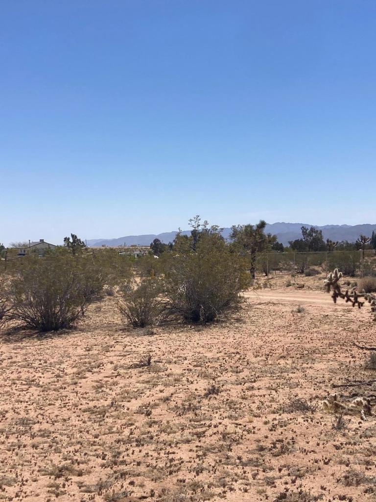 MLS #219128713DA image #10