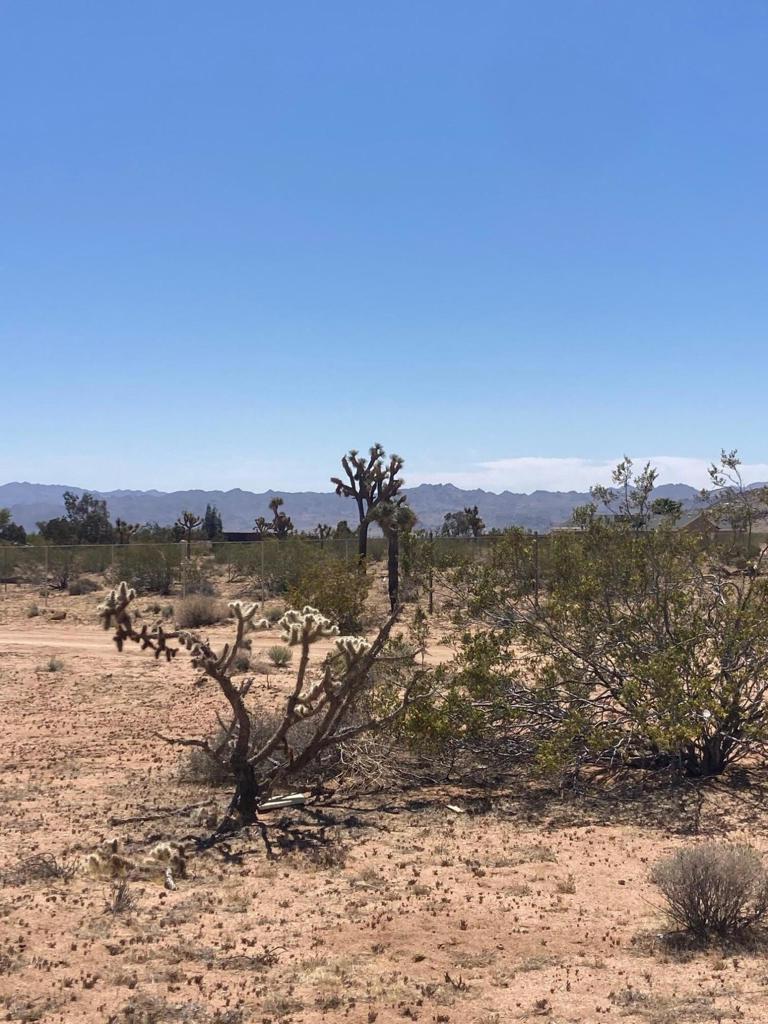 MLS #219128713DA image #11