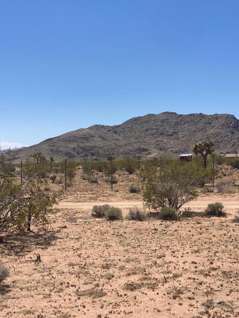 MLS #219128713DA image #12