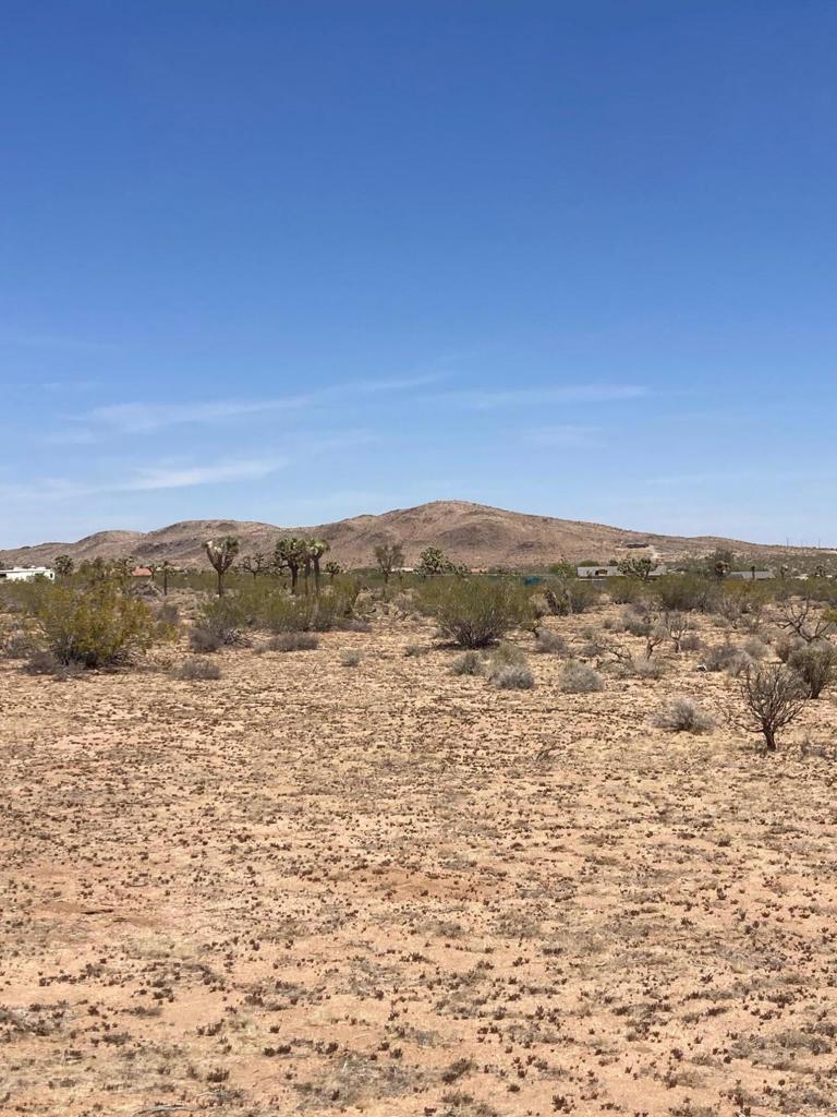 MLS #219128713DA image #14