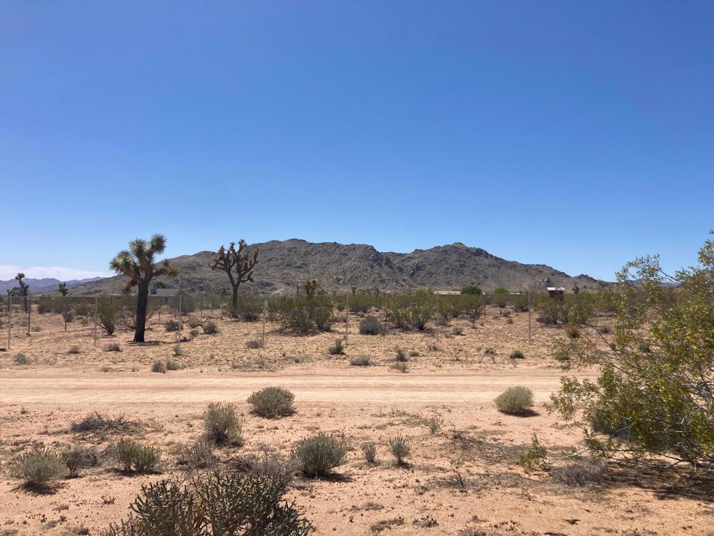 MLS #219128713DA image #5