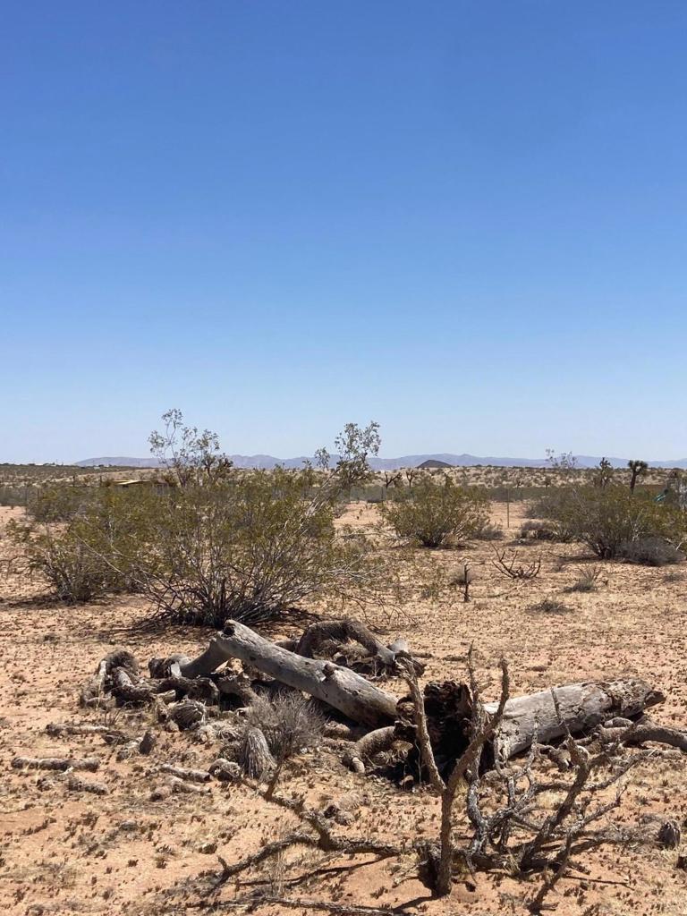 MLS #219128713DA image #9