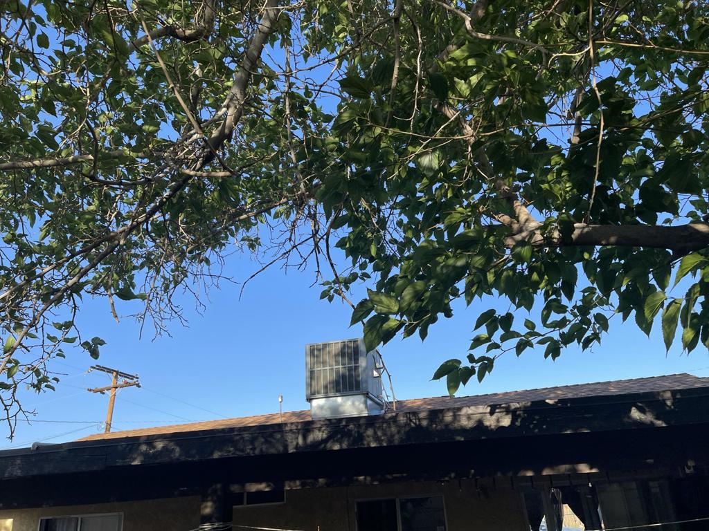 MLS #219128764PS image #47