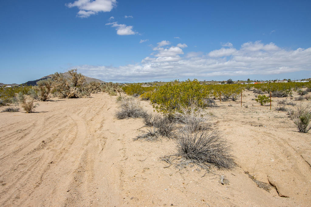 MLS #219128780PS image #11