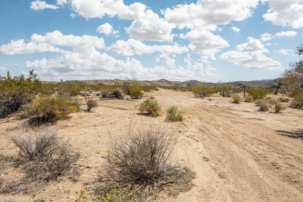 MLS #219128780PS image #13