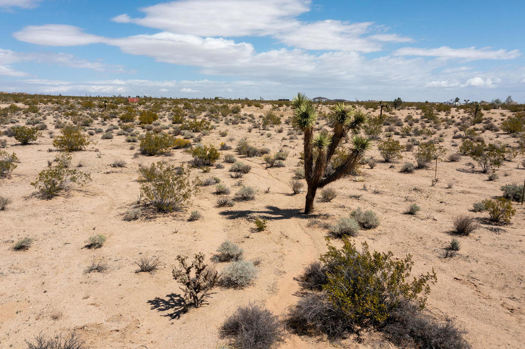 MLS #219128780PS image #17