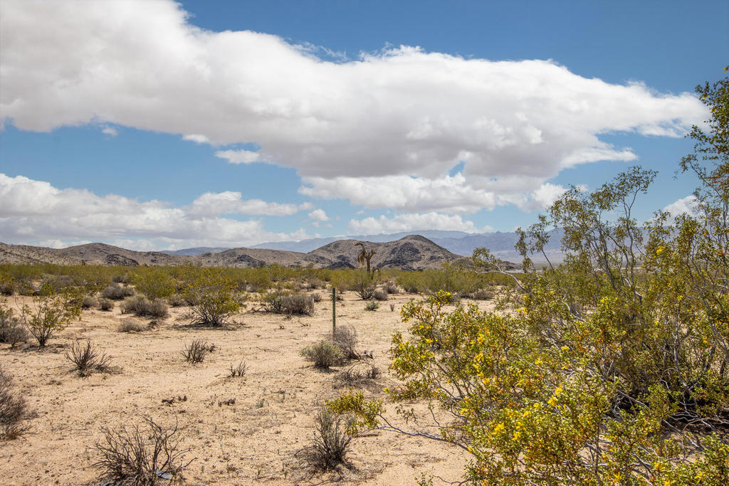 MLS #219128780PS image #5