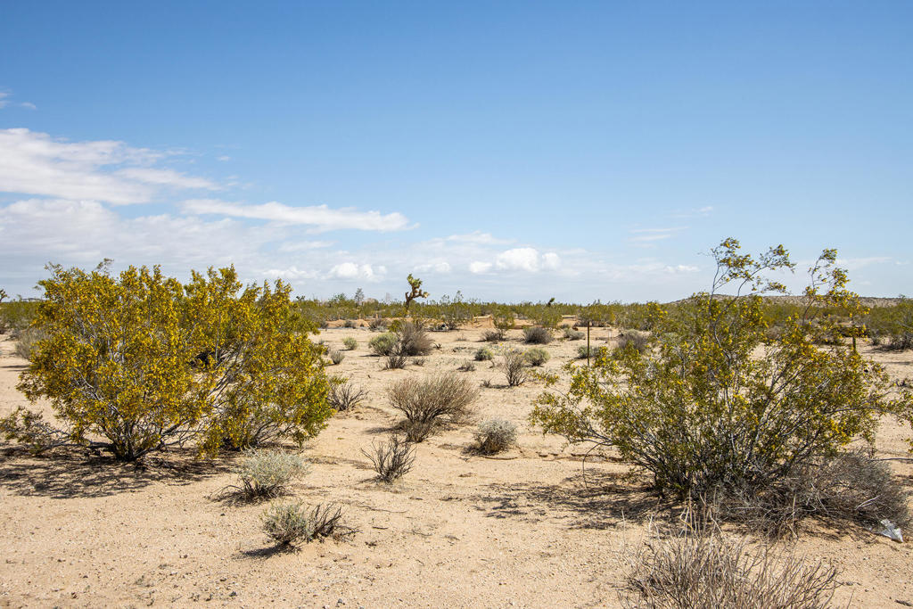 MLS #219128780PS image #9