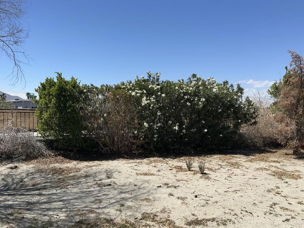 MLS #219128785DA image #3