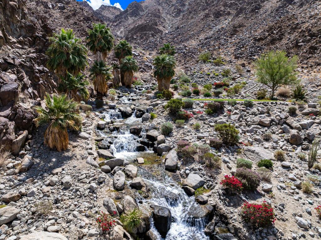 MLS #219128823DA image #23