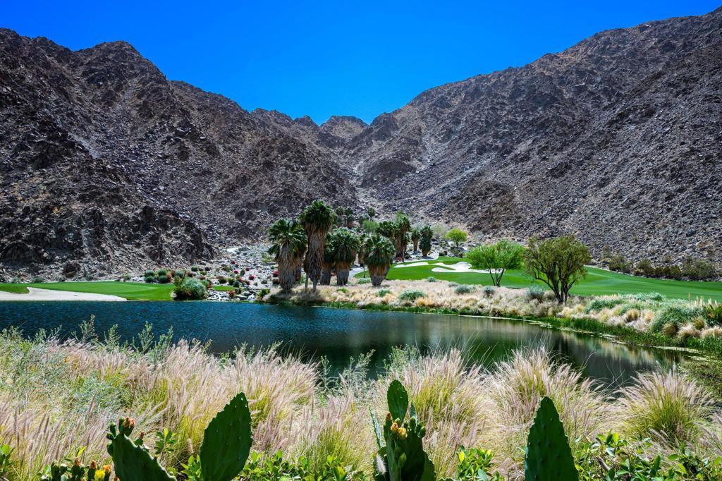 MLS #219128823DA image #37