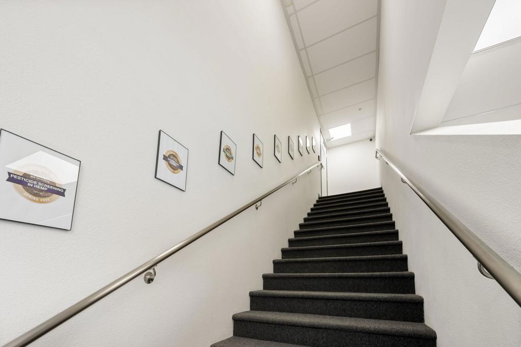 MLS #219128826DA image #4