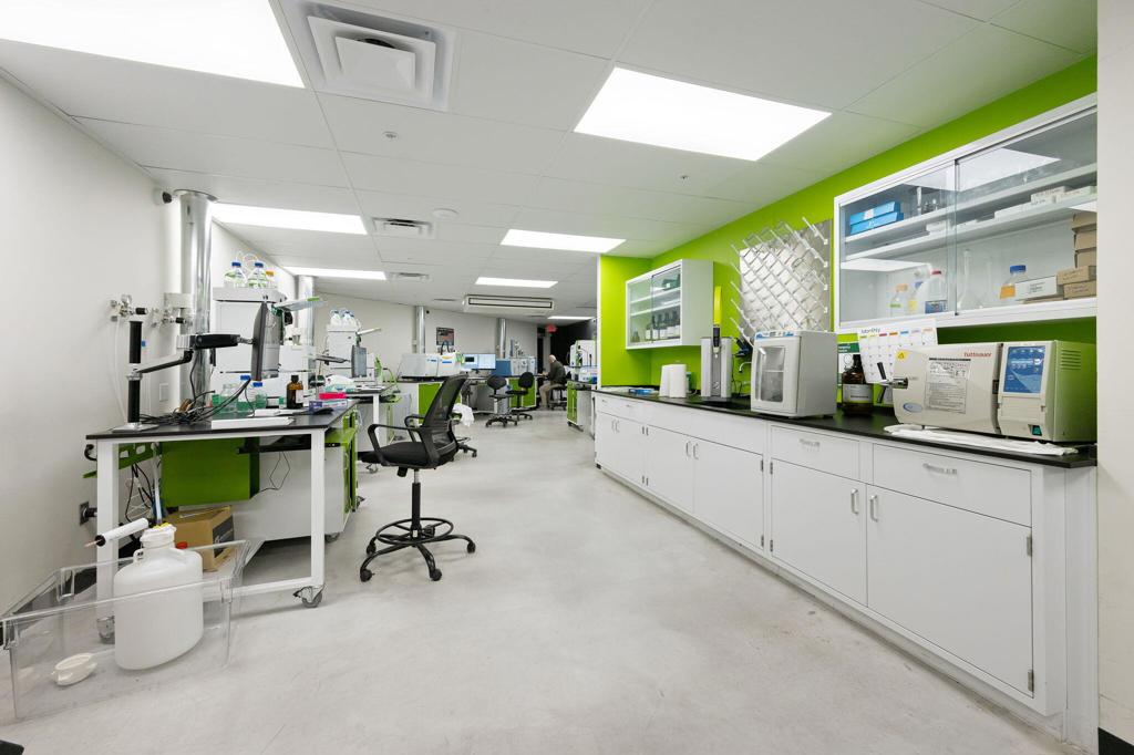 MLS #219128826DA image #6