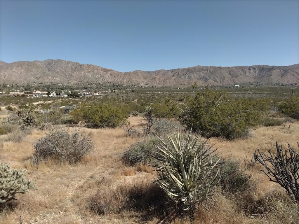 MLS #219128893DA image #5