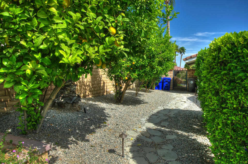 MLS #219129037DA image #55