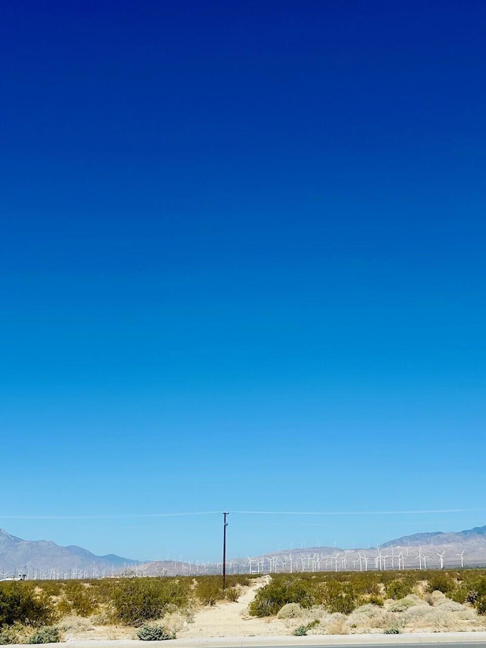 MLS #219129330DA image #4