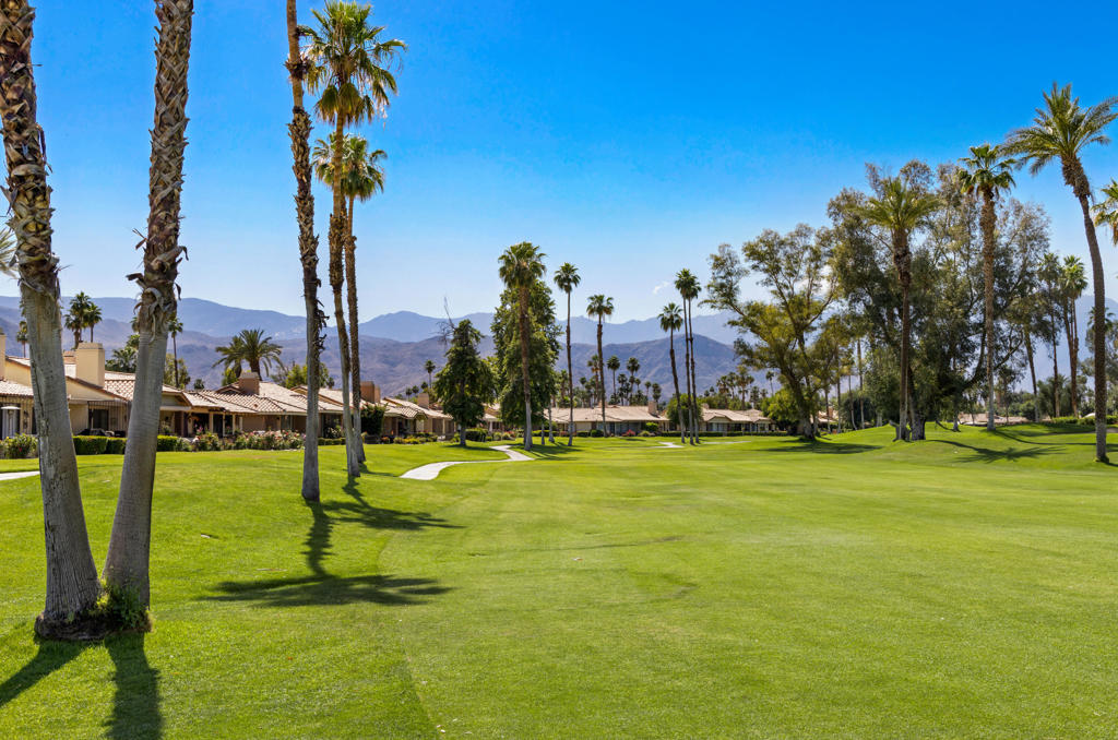 MLS #219129437DA image #6