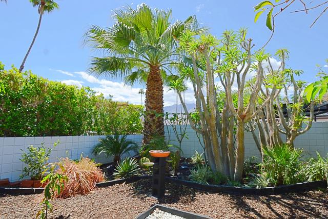 MLS #219129507PS image #6