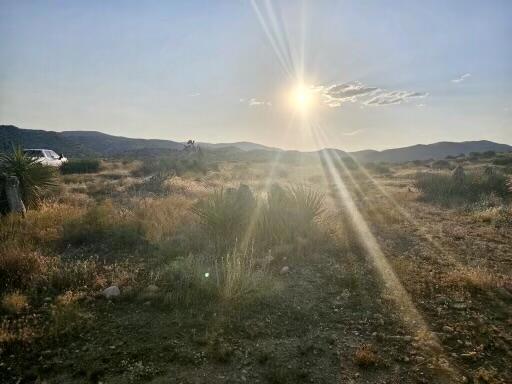 MLS #219129516DA image #10