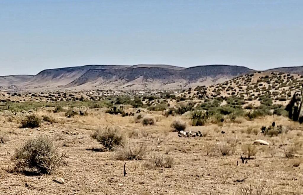 MLS #219129516DA image #3