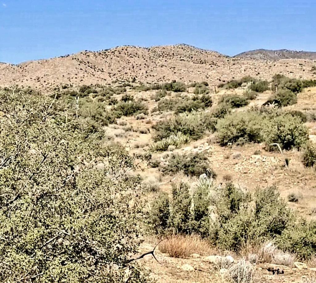 MLS #219129516DA image #5