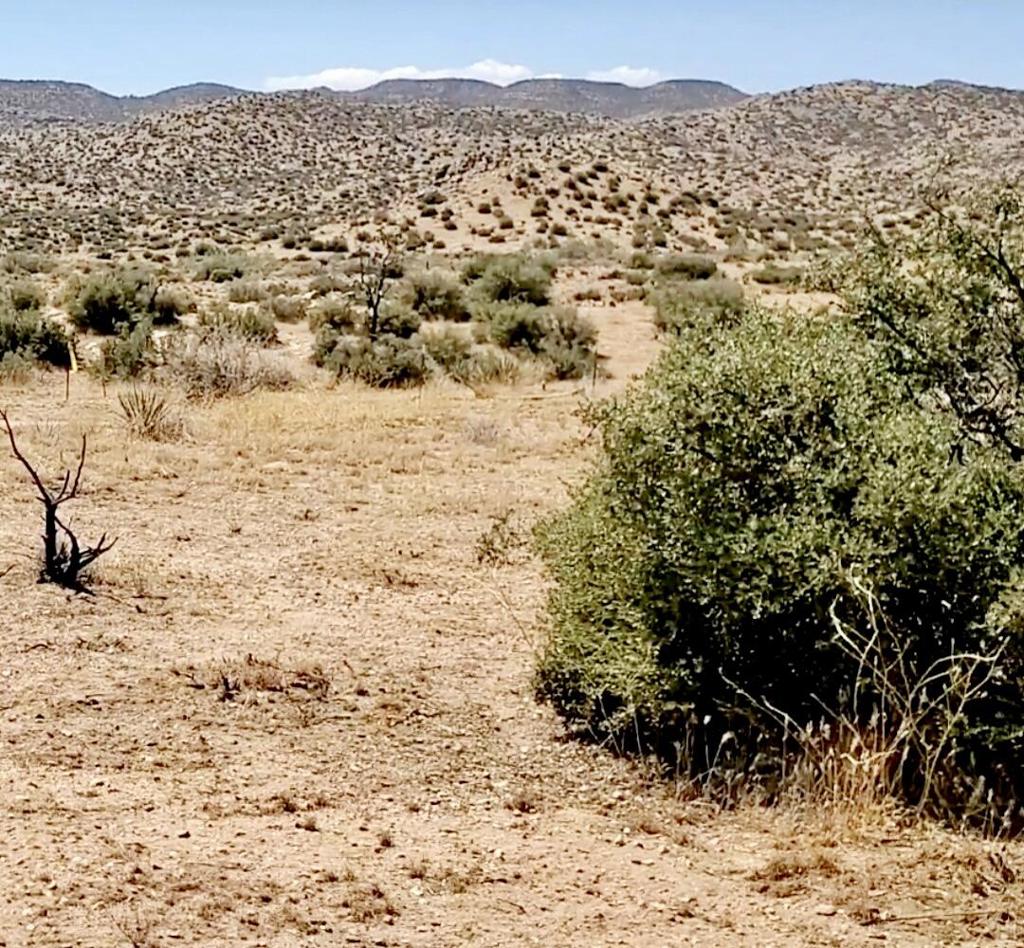 MLS #219129516DA image #6