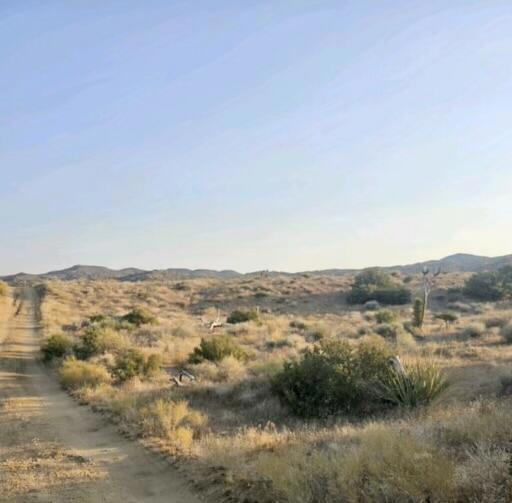 MLS #219129516DA image #7