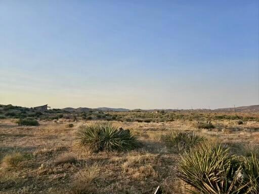 MLS #219129516DA image #8