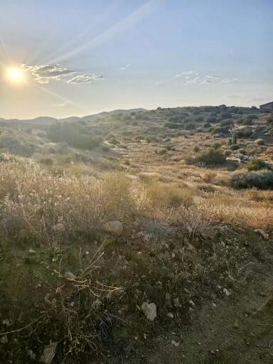 MLS #219129516DA image #9