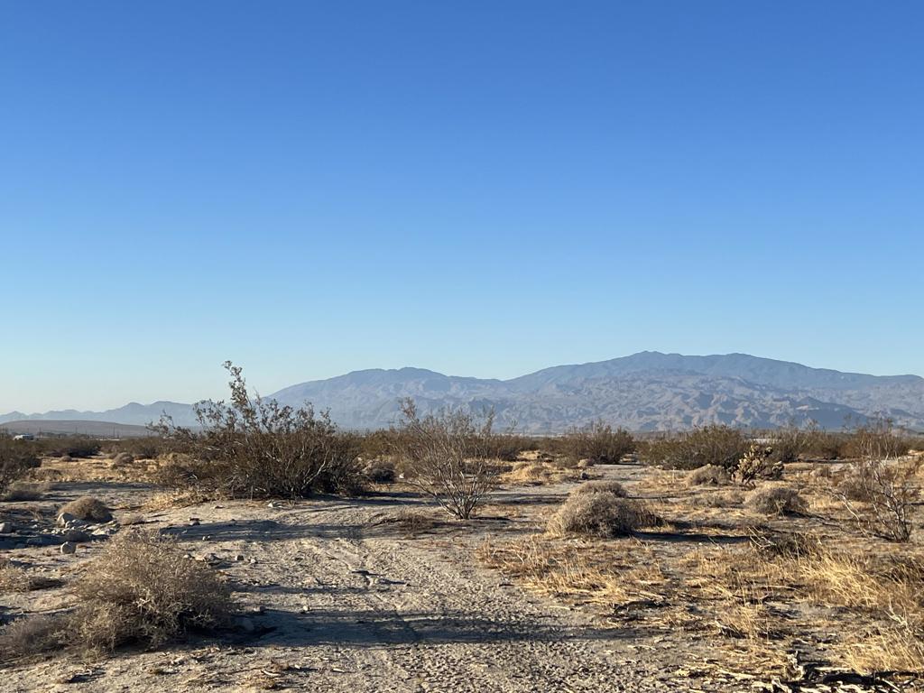 MLS #219129892DA image #3