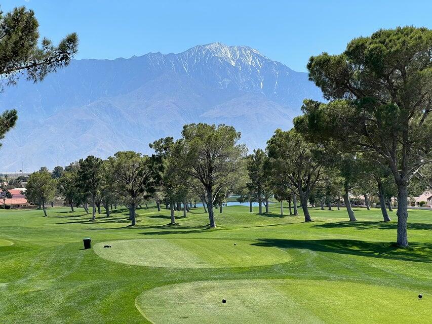 MLS #219129897DA image #23