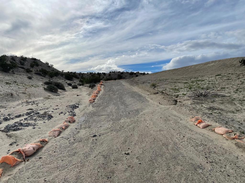 MLS #219130273DA image #9